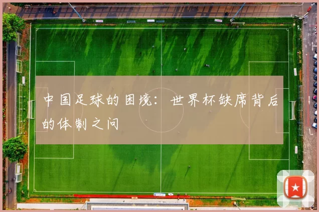 中国足球的困境：世界杯缺席背后的体制之问