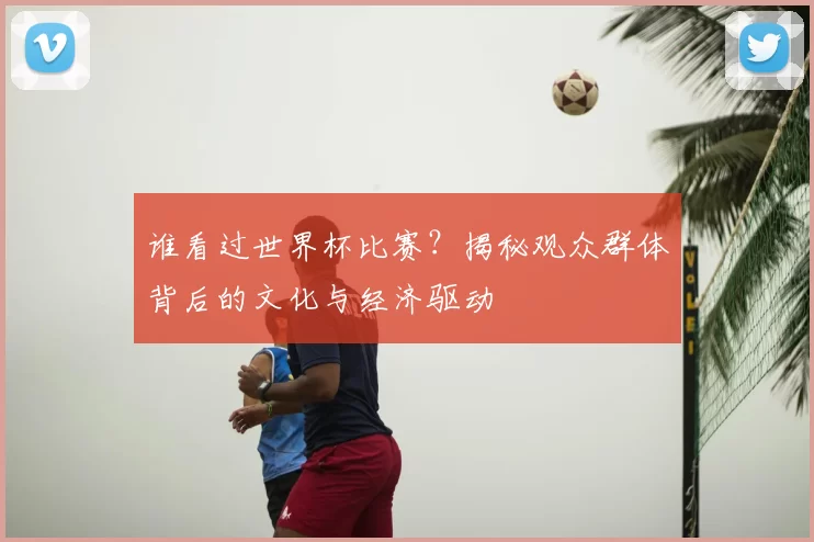 谁看过世界杯比赛?揭秘观众群体背后的文化与经济驱动