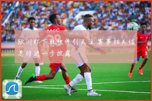 欧洲杯下驻软件引关注 赛事相关信息待进一步披露