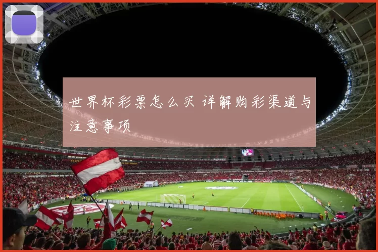 世界杯彩票怎么买 详解购彩渠道与注意事项