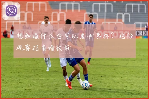 想知道什么台可以看世界杯?这份观赛指南请收好