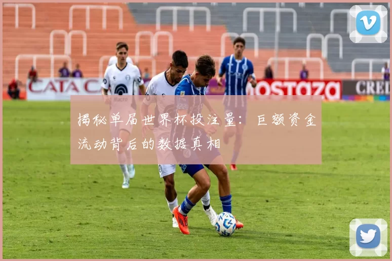 揭秘单届世界杯投注量:巨额资金流动背后的数据真相