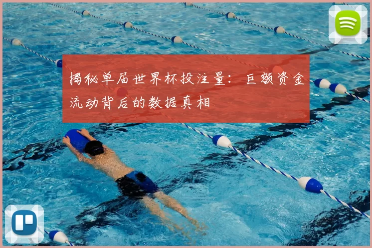 揭秘单届世界杯投注量：巨额资金流动背后的数据真相