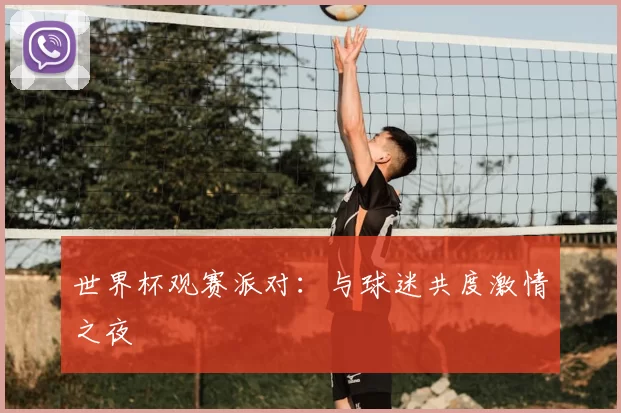 世界杯观赛派对：与球迷共度激情之夜
