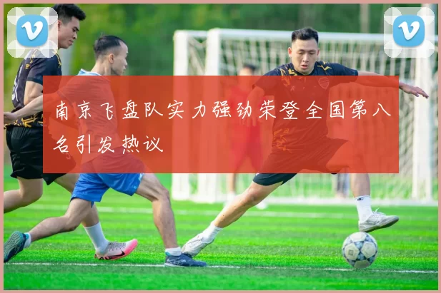 南京飞盘队实力强劲荣登全国第八名引发热议
