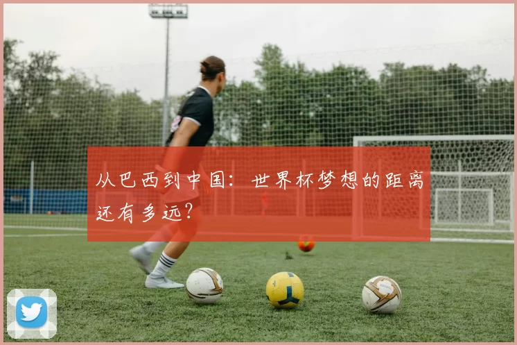 从巴西到中国：世界杯梦想的距离还有多远？