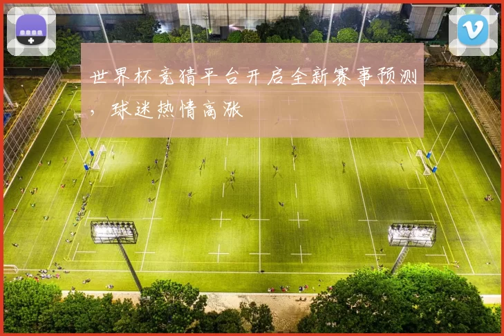 世界杯竞猜平台开启全新赛事预测，球迷热情高涨