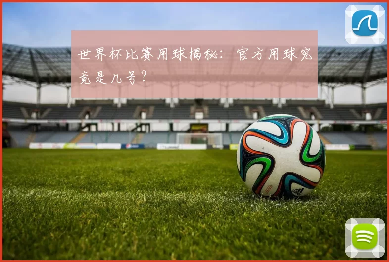 世界杯比赛用球揭秘:官方用球究竟是几号?